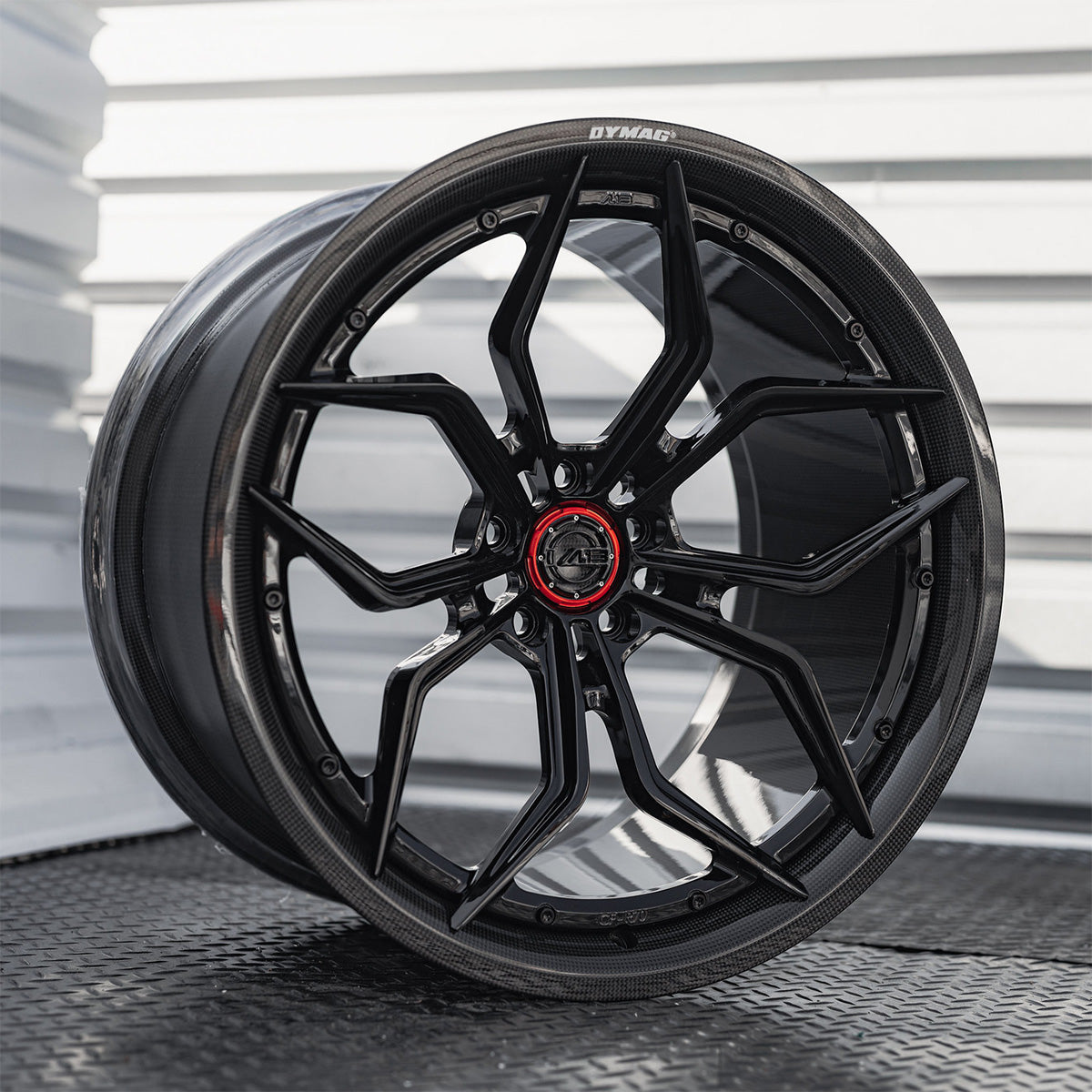AL13 CF-R70 Carbon Series Wheel