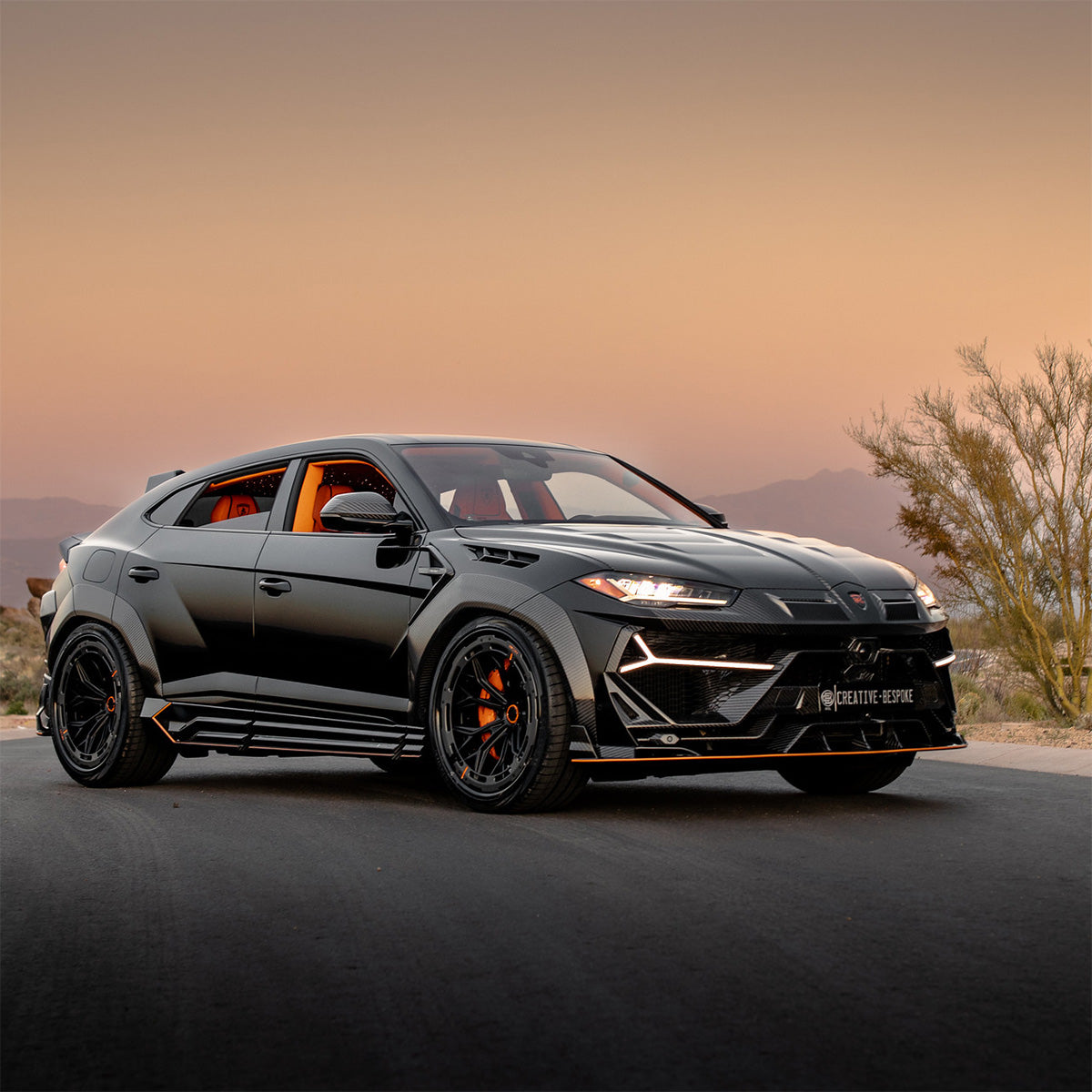 AL13 R80-109R Aerodisc Series Wheel