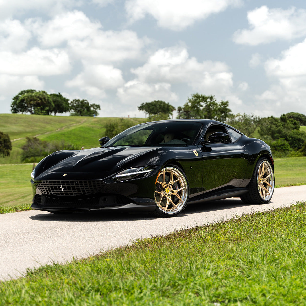 AL13 R60 R Series Wheel