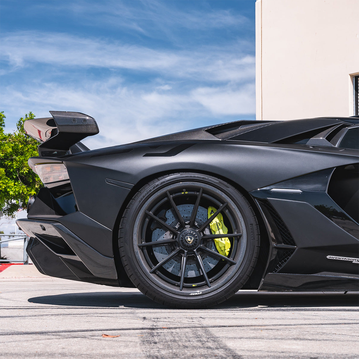 AL13 CF-R10 Carbon Series Wheel