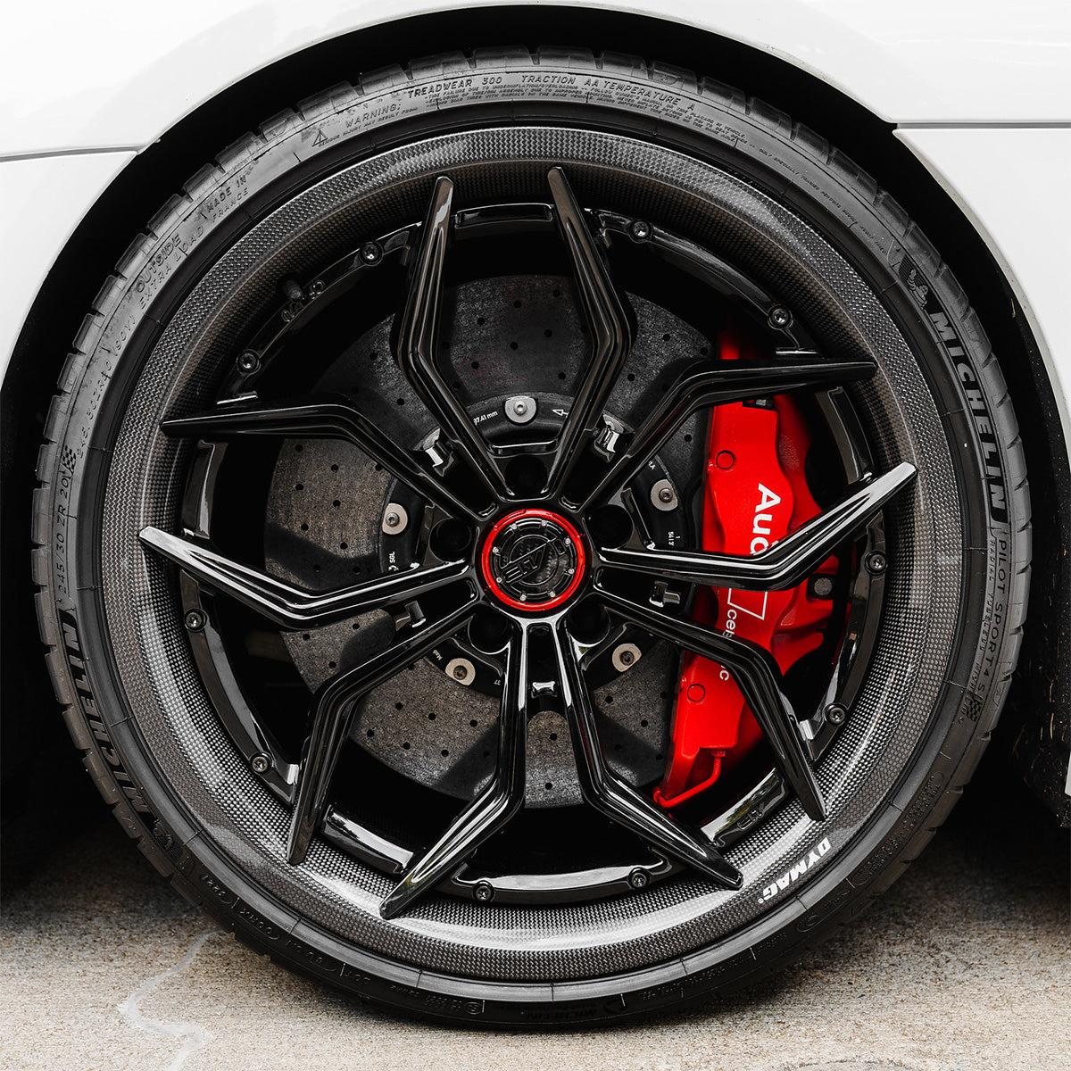 AL13 CF-R70 Carbon Series Wheel