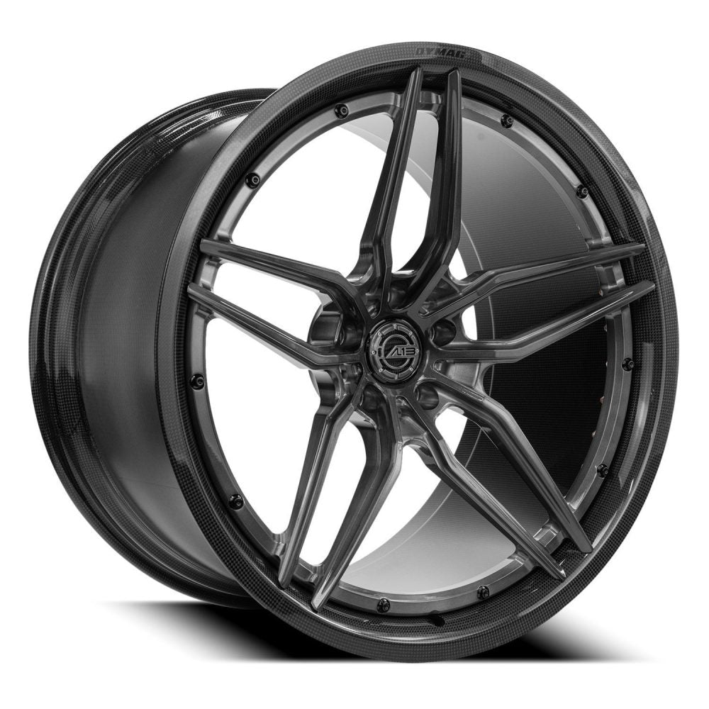 AL13 CF-R50 Carbon Series Wheel