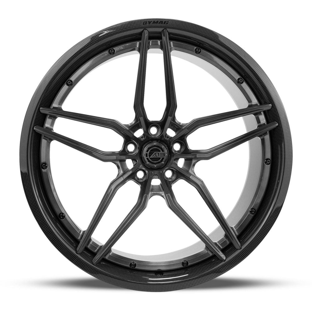 AL13 CF-R50 Carbon Series Wheel