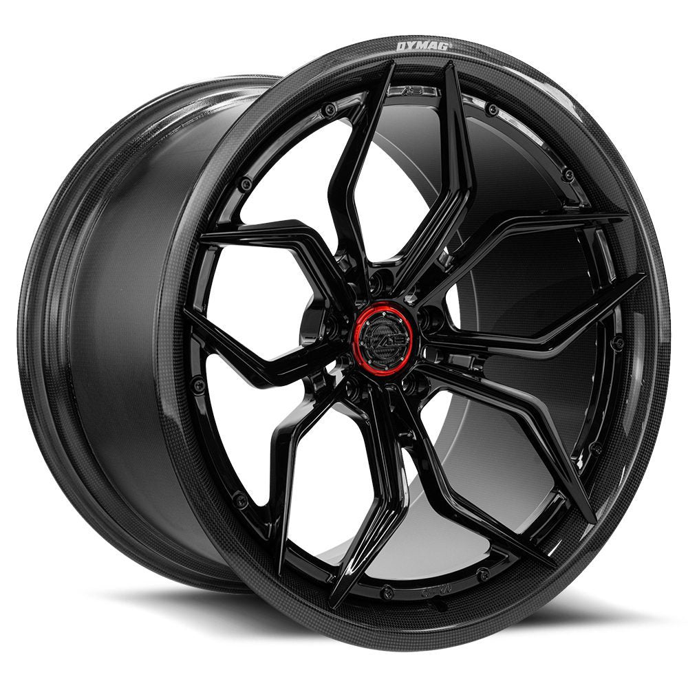 AL13 CF-R70 Carbon Series Wheel