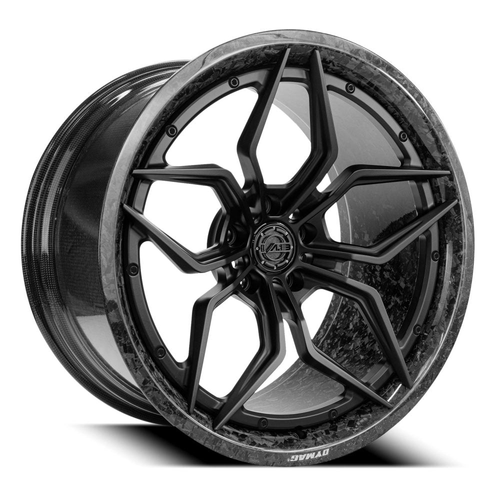 AL13 CF-R70 Carbon Series Wheel