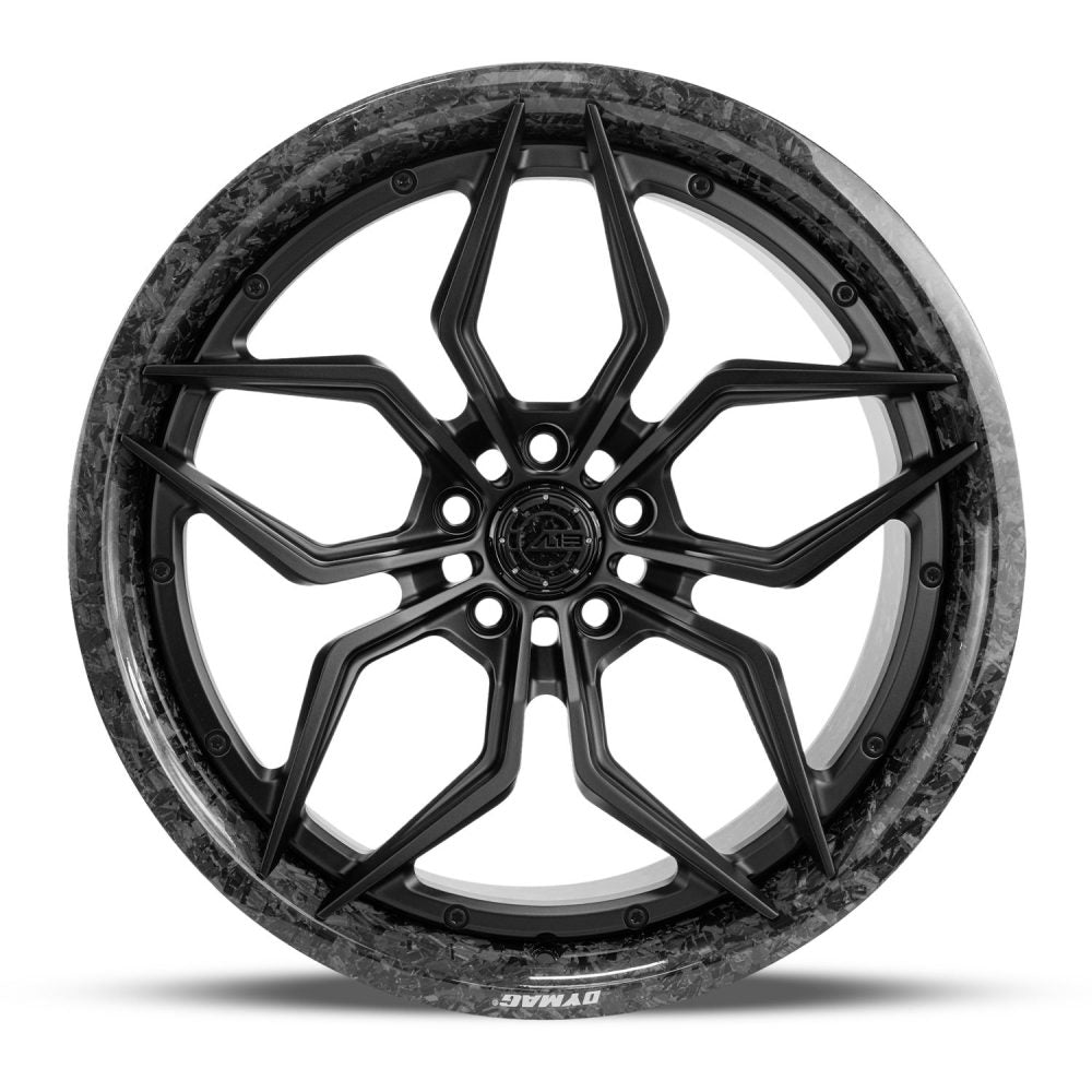 AL13 CF-R70 Carbon Series Wheel
