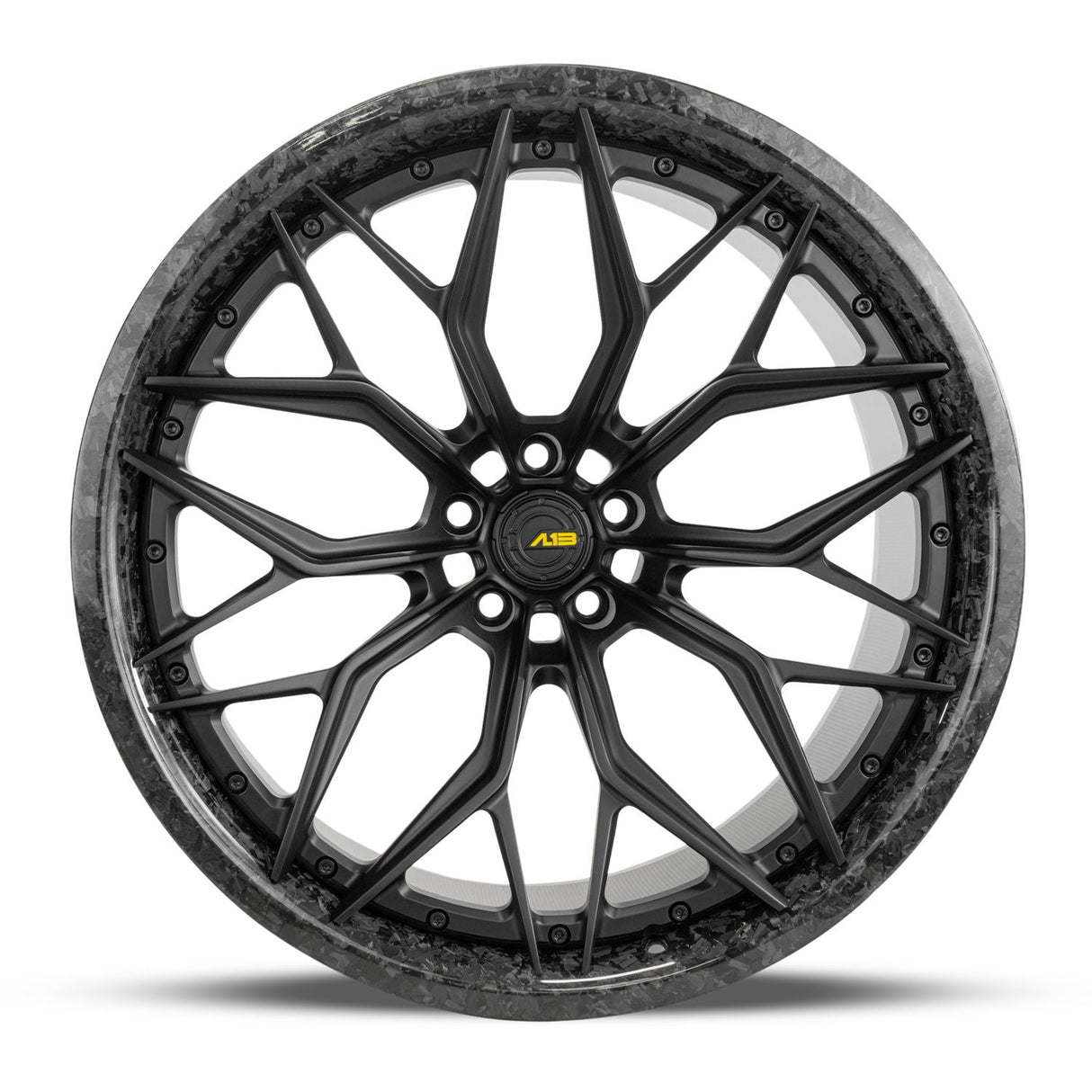 AL13 CF-R80 Carbon Series Wheel