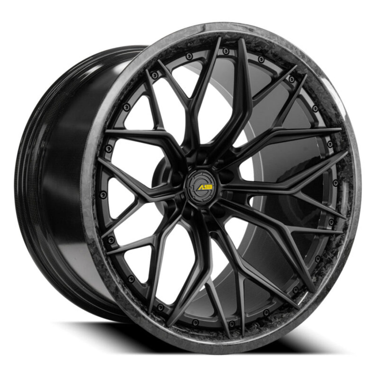AL13 CF-R80 Carbon Series Wheel