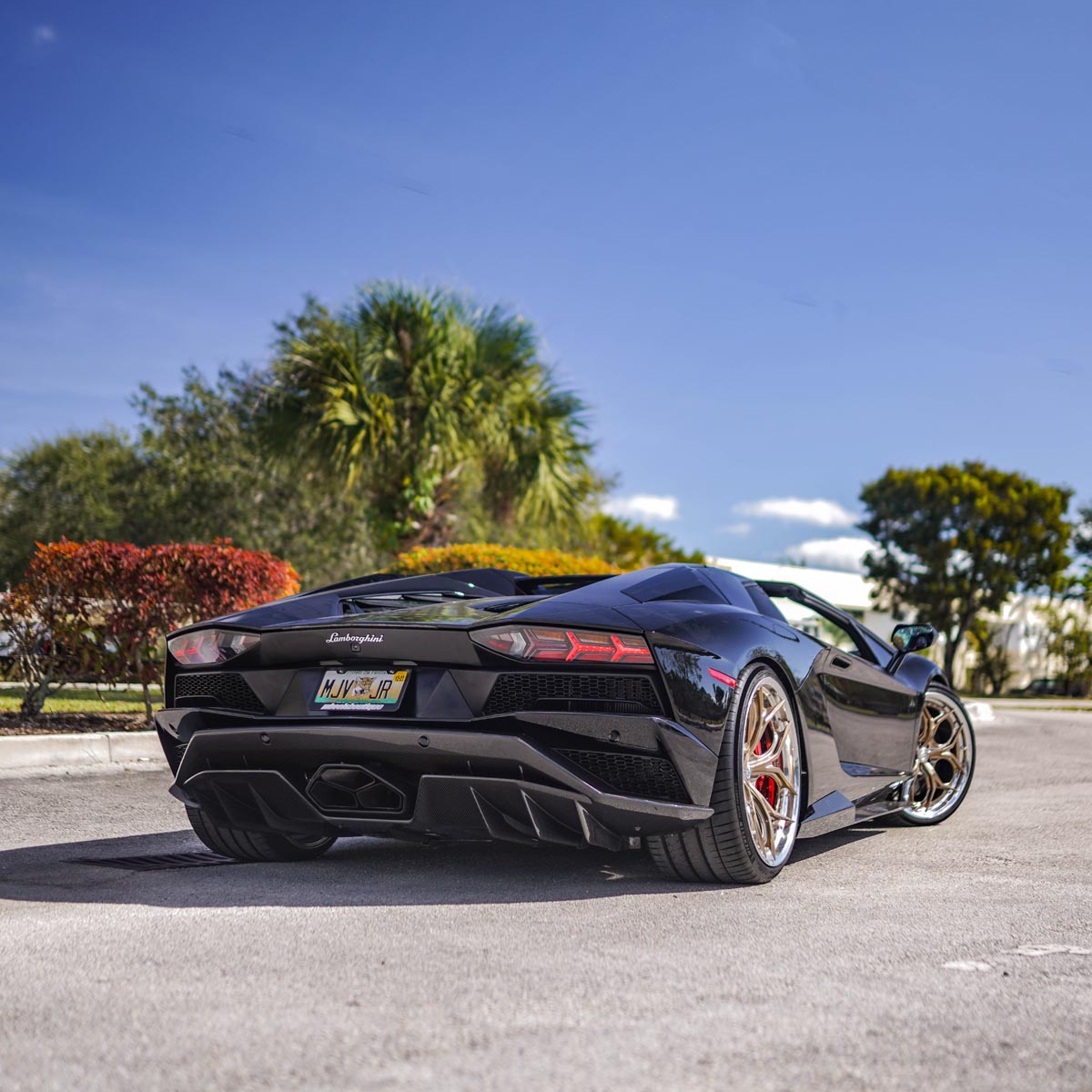 1016 Industries Lamborghini Aventador S LP740 Rear Diffuser
