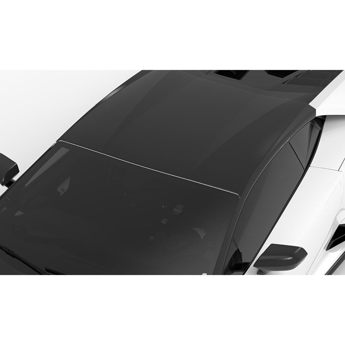 1016 Industries Lamborghini Huracan LP610 Race Roof
