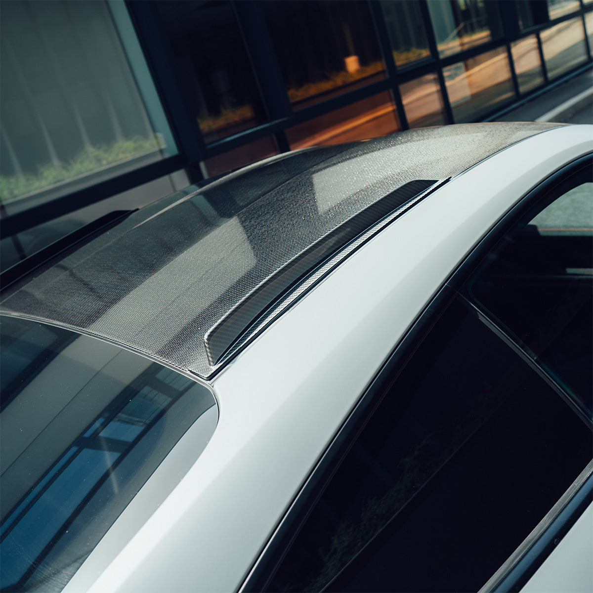 1016 Industries Porsche 992 GT3RS Roof Rails