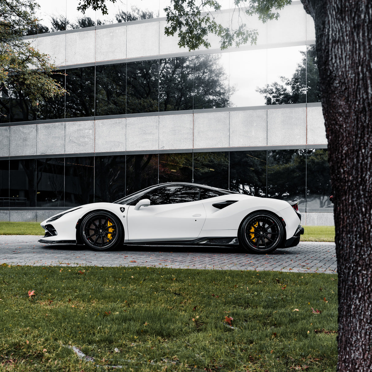 MV Forged SL-100 DYMAG Collection Carbon Wheel