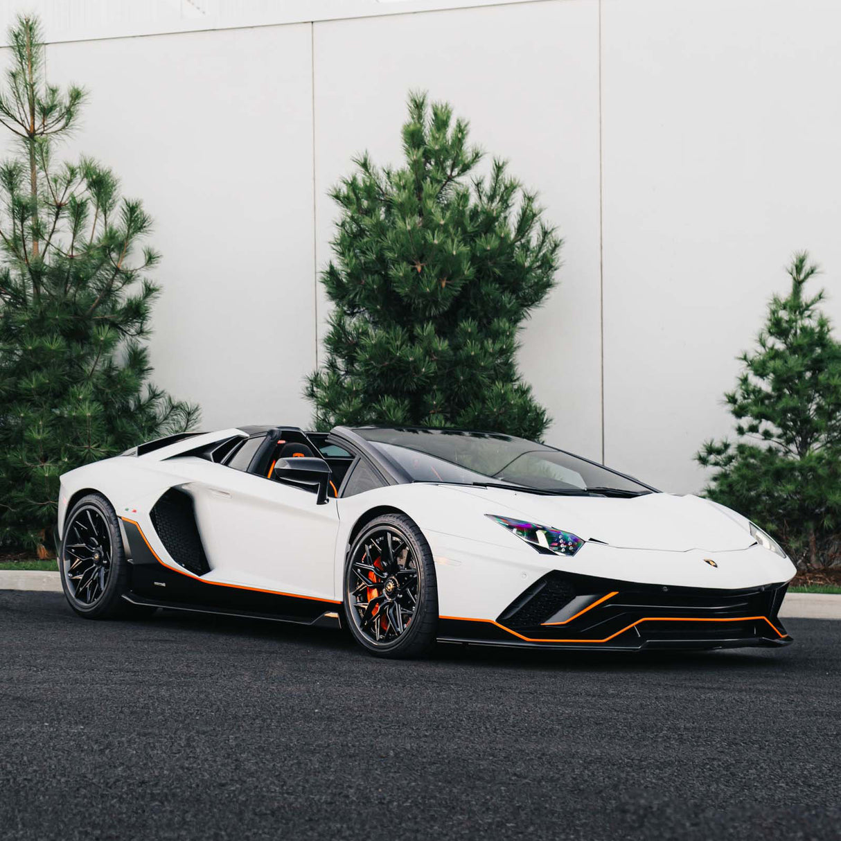 MV Forged MR-250 DYMAG Collection Carbon Wheel