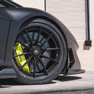 AL13 CF-R10 Carbon Series Wheel