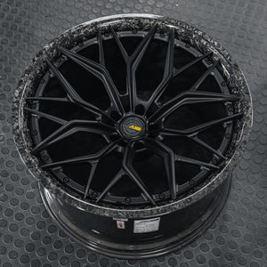 AL13 CF-R80 Carbon Series Wheel