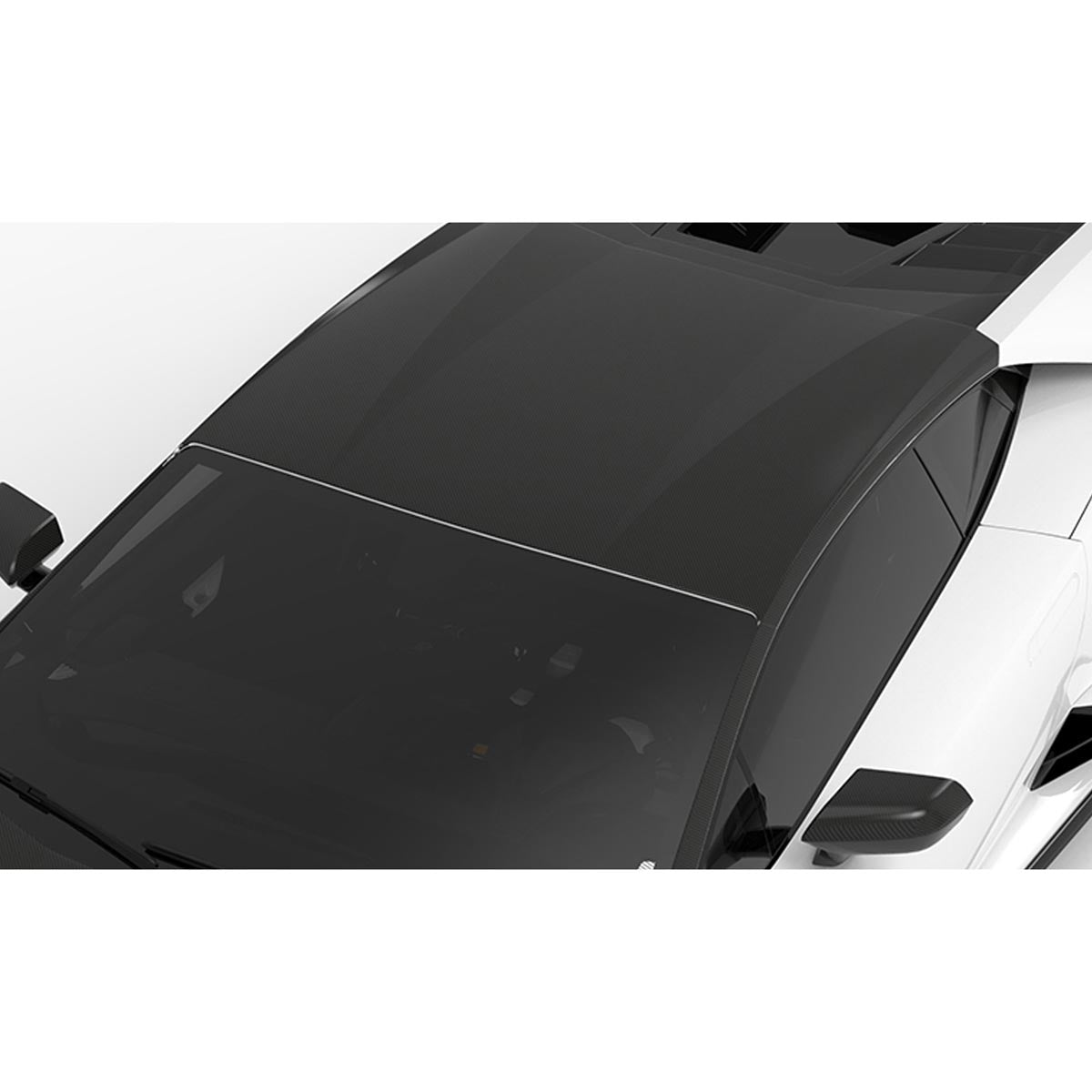 1016 Industries Lamborghini Huracan EVO Race Roof