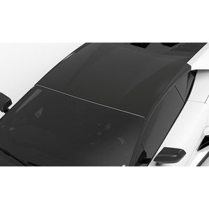1016 Industries Lamborghini Huracan Tecnica Race Roof